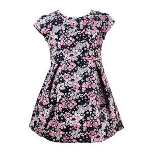 Janie and Jack dress